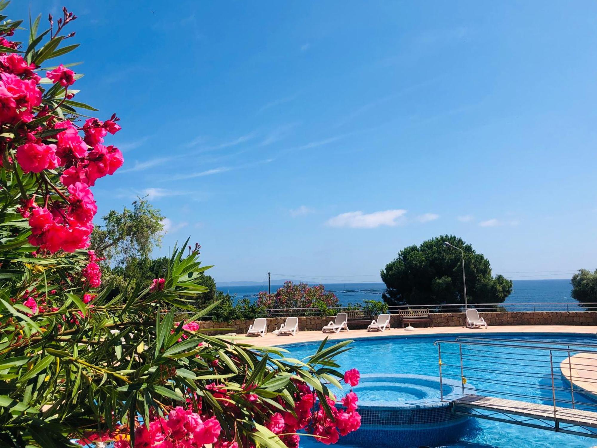 Superbe T2 Vue Mer - Piscine & Plage A 100M أجاكسيو المظهر الخارجي الصورة