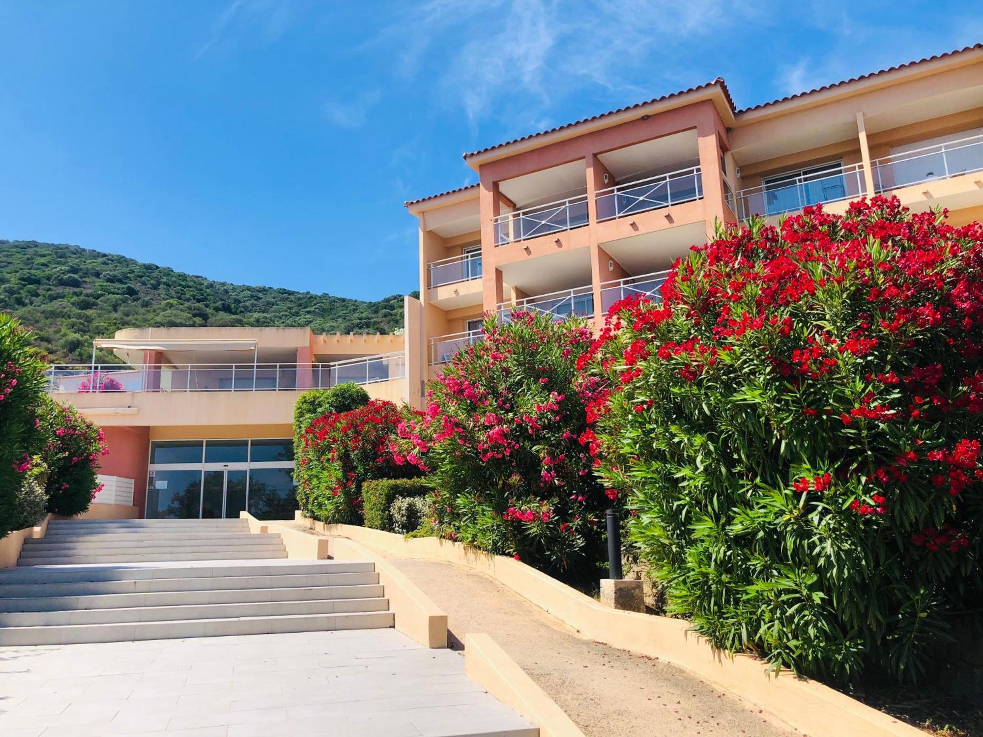 Superbe T2 Vue Mer - Piscine & Plage A 100M أجاكسيو المظهر الخارجي الصورة